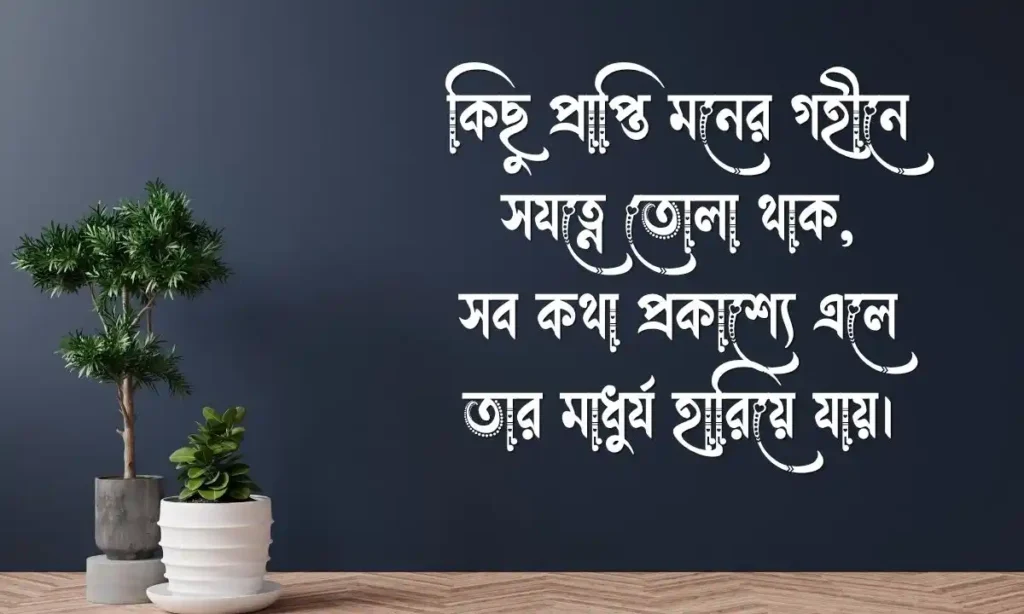 বাংলা সাহিত্যিক ক্যাপশন ফেসবুকের ক্যাপশন