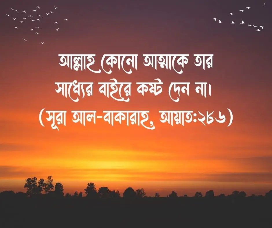 অসুস্থতা নিয়ে কোরআনের আয়াত অসুস্থতা নিয়ে আল্লাহর বাণী