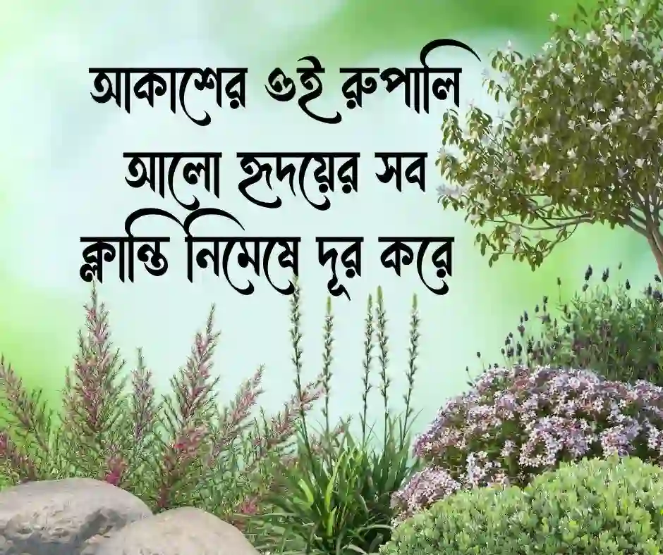 আকাশের চাঁদ নিয়ে ক্যাপশন