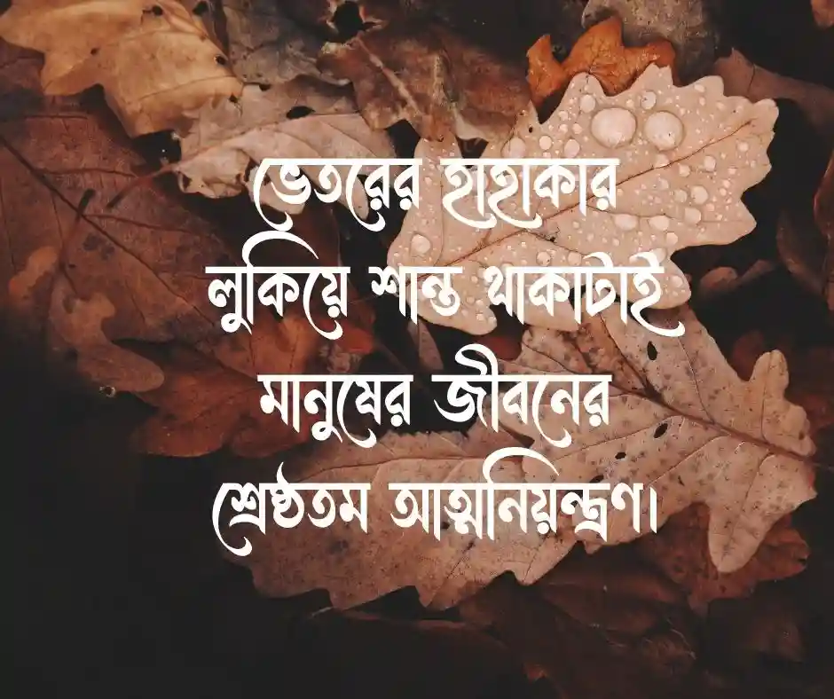 আবেগ নিয়ে উক্তি