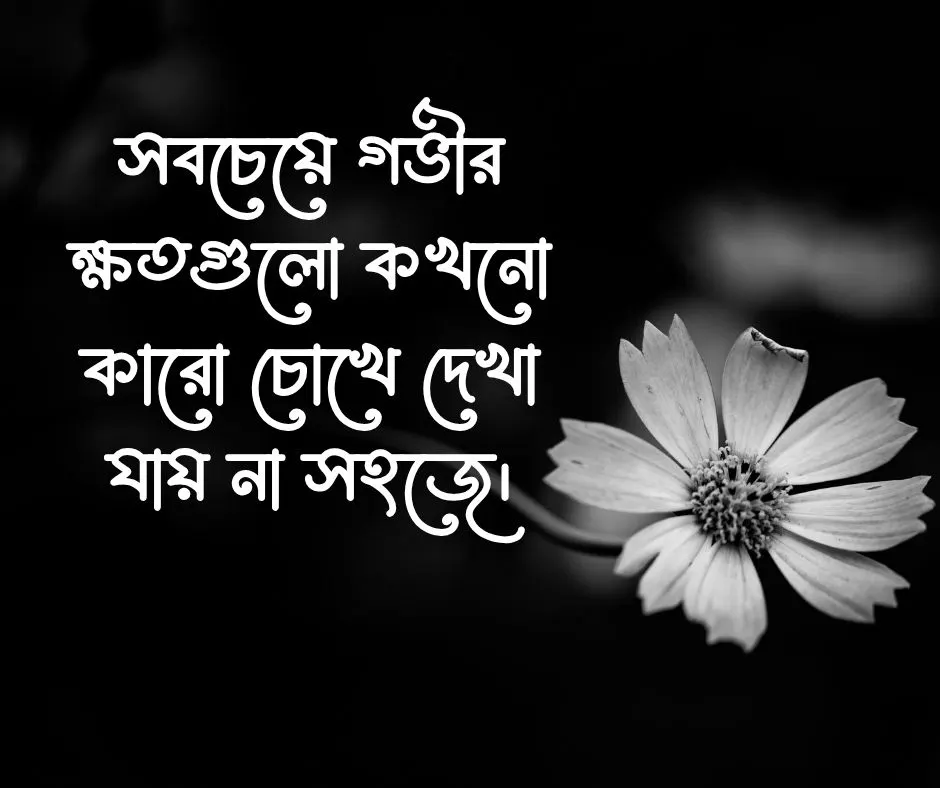আবেগ নিয়ে ক্যাপশন আবেগ নিয়ে স্ট্যাটাস