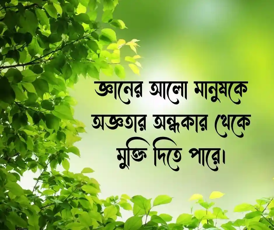 আলো নিয়ে উক্তি