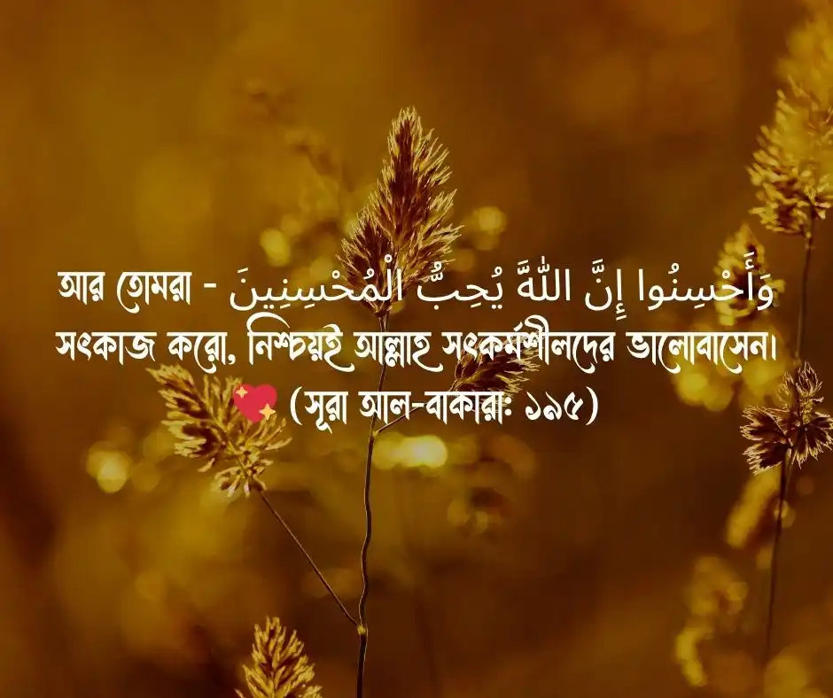 ইসলামিক স্ট্যাটাস আরবি সহ