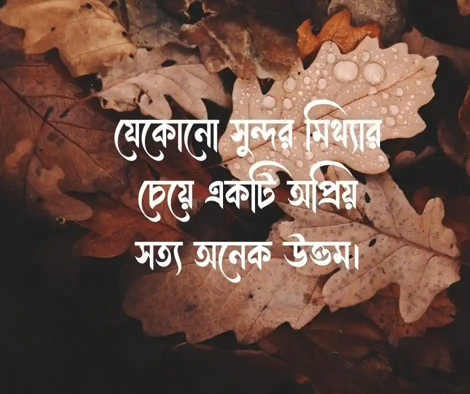 কথা নিয়ে উক্তি