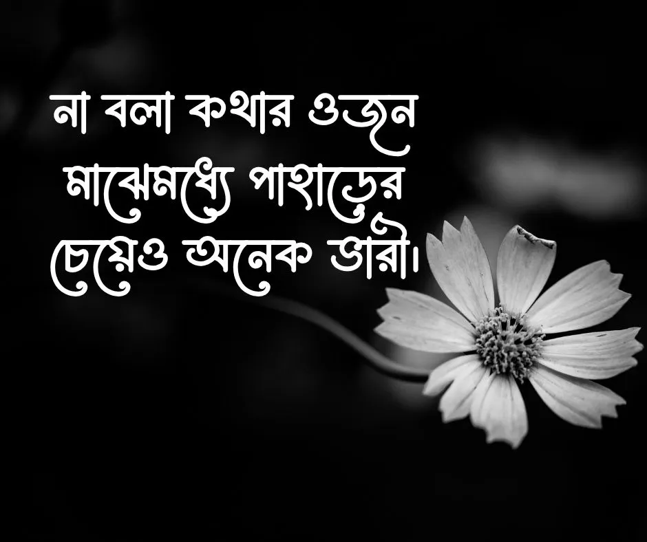 কথা নিয়ে ক্যাপশন কথা নিয়ে স্ট্যাটাস