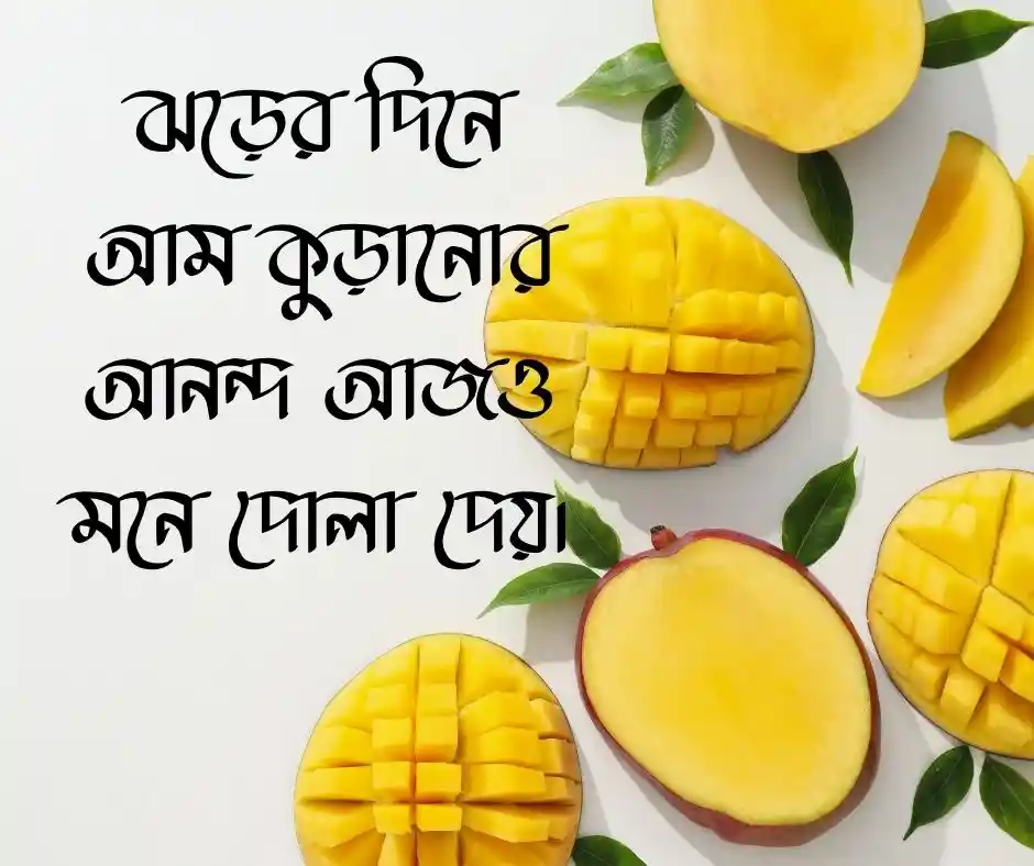 কাঁচা আম নিয়ে ক্যাপশন