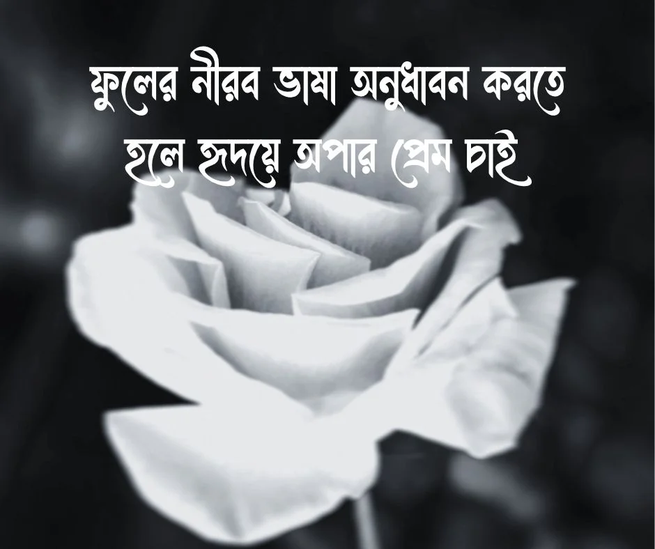 গোলাপ ফুল নিয়ে ক্যাপশন