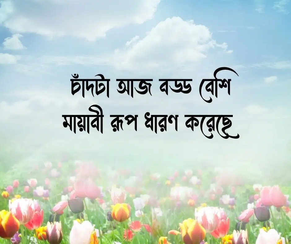 চাঁদ নিয়ে ক্যাপশন চাঁদ নিয়ে স্ট্যাটাস
