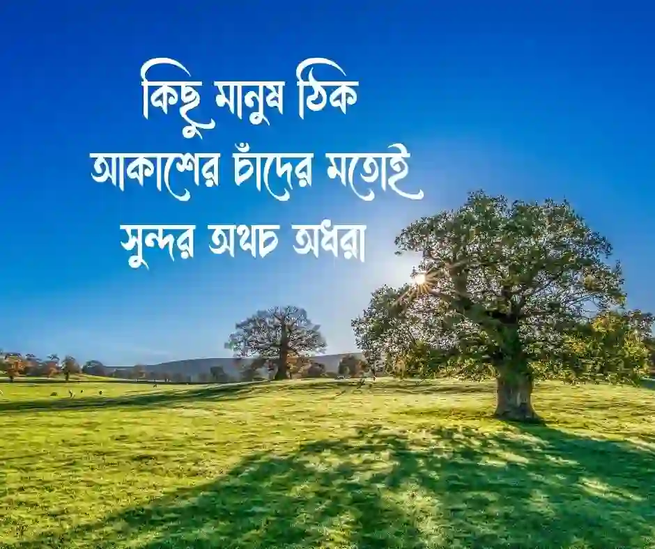 চাঁদ নিয়ে ছোট ক্যাপশন (1)