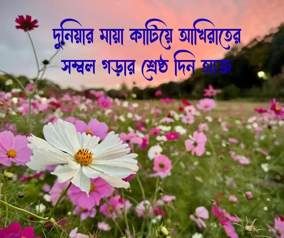 জুম্মা মোবারক ক্যাপশন Jumma Mubarak Caption (2)