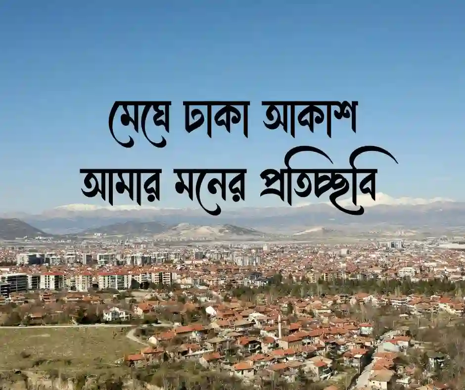 ডিপ্রেশন নিয়ে ক্যাপশন (1)