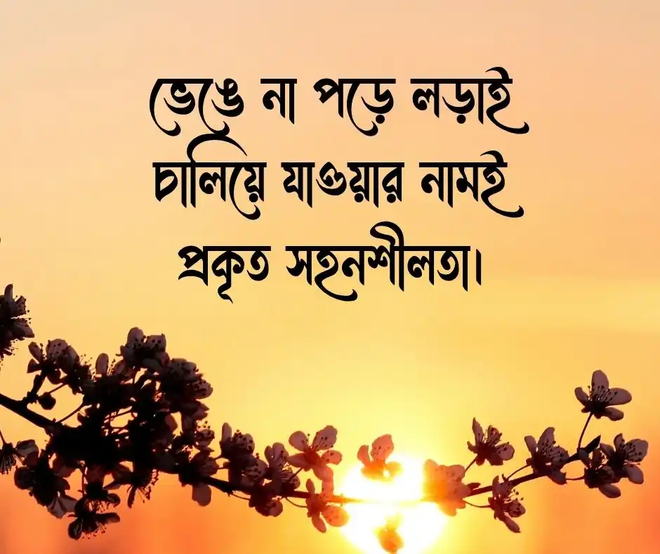 ধৈর্য নিয়ে উক্তি