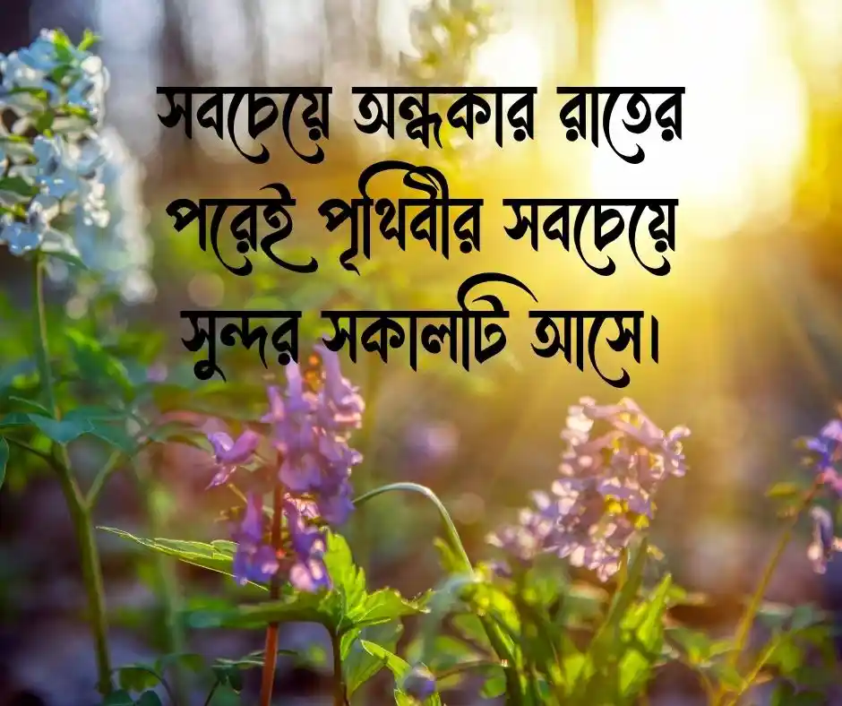 ধৈর্য নিয়ে উক্তি