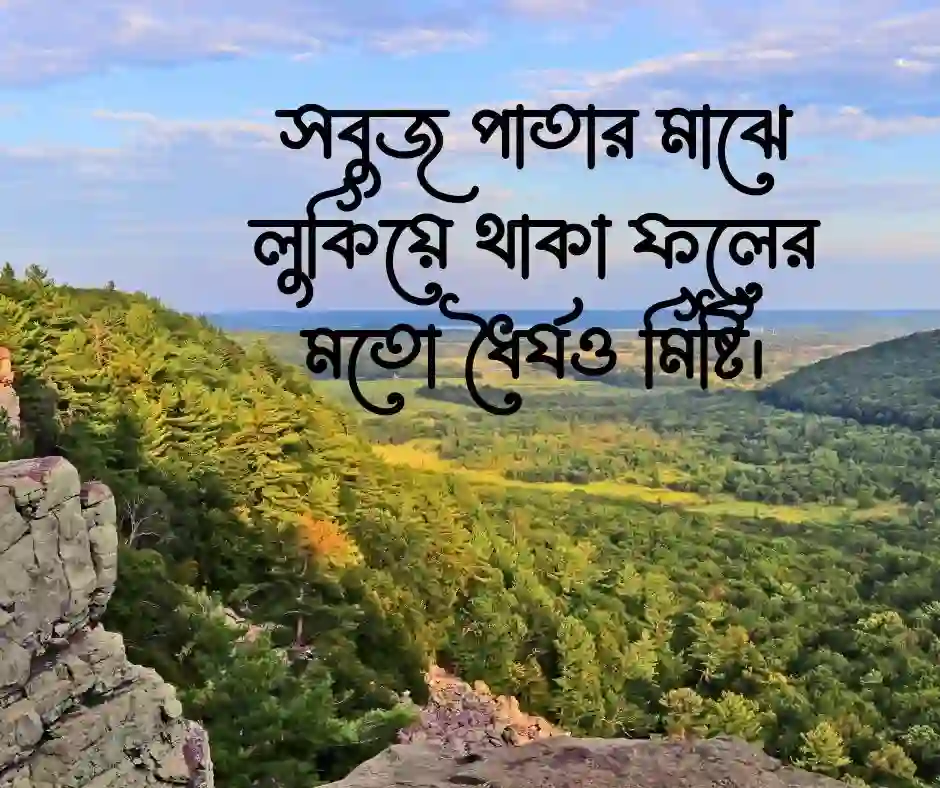 ধৈর্য নিয়ে ক্যাপশন ধৈর্য নিয়ে স্ট্যাটাস