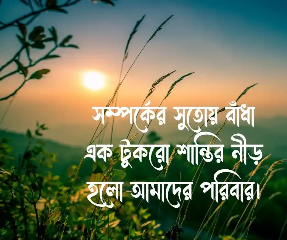 পরিবার নিয়ে উক্তি
