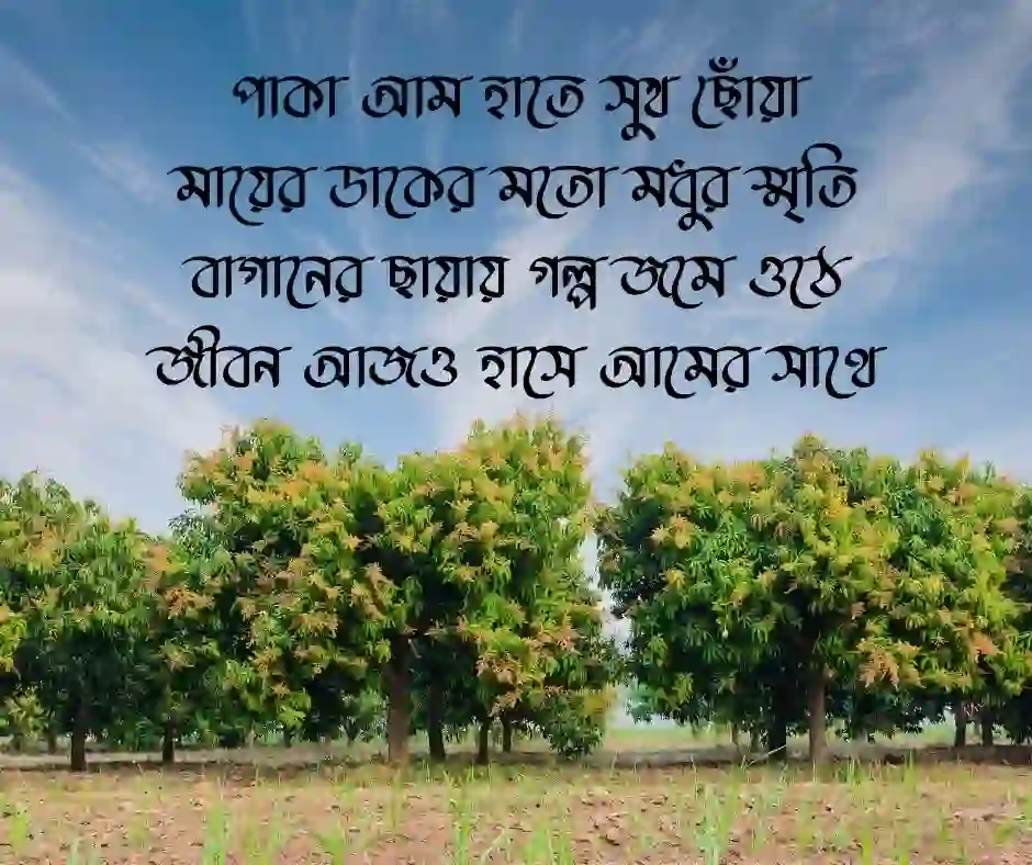 পাকা আম নিয়ে ছন্দ