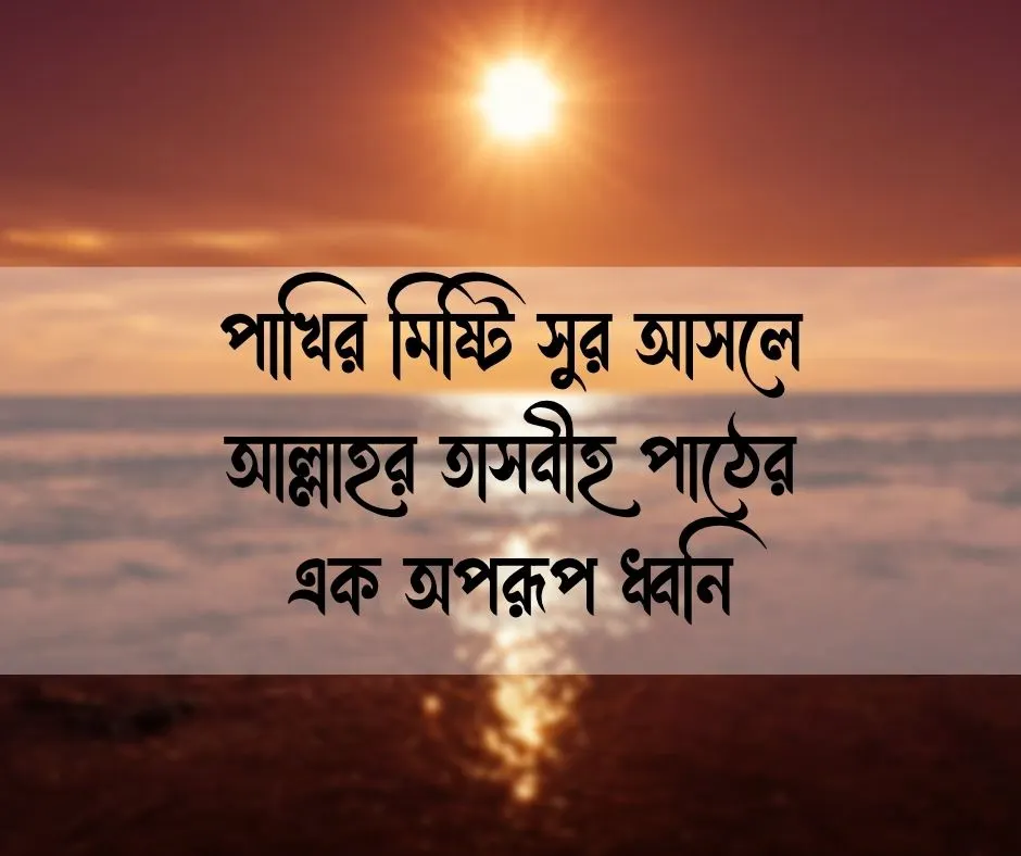 পাখি নিয়ে ইসলামিক ক্যাপশন