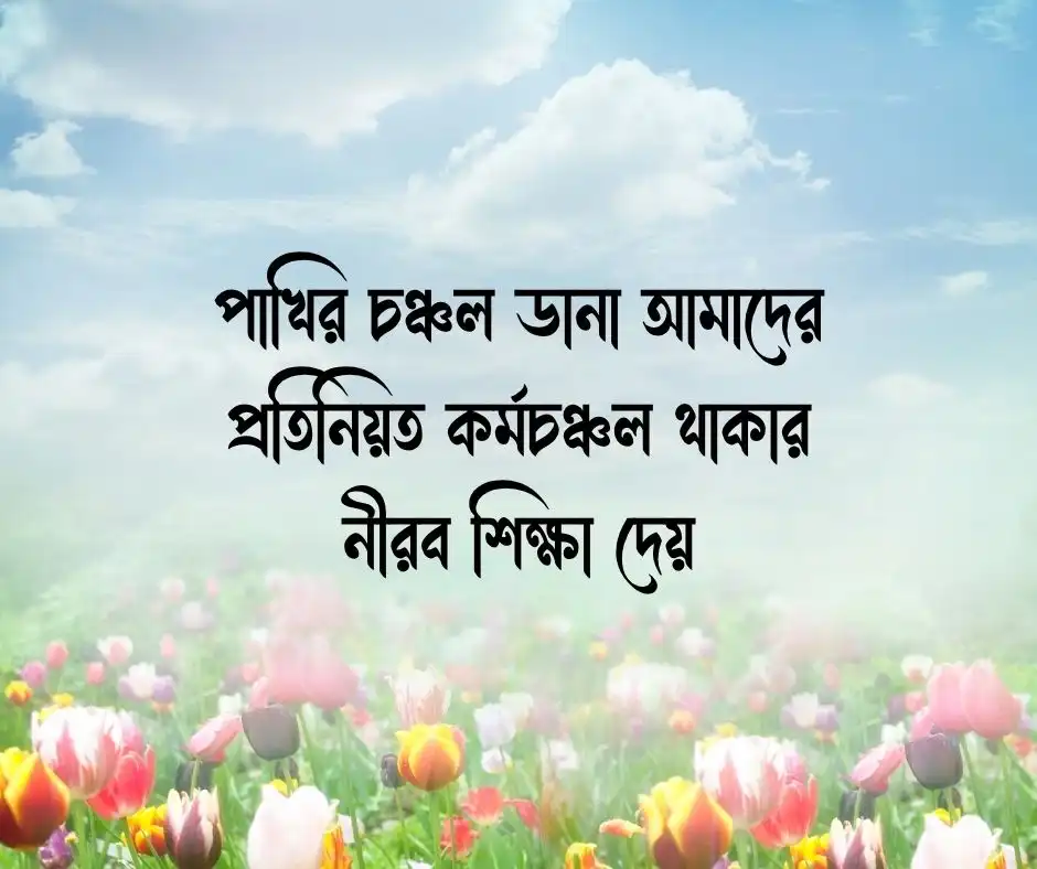 পাখি নিয়ে কিছু কথা