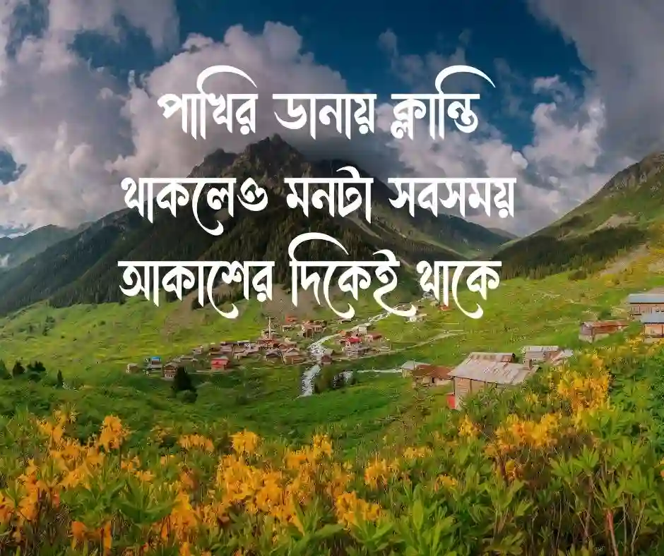 পাখি নিয়ে ক্যাপশন Caption on Birds