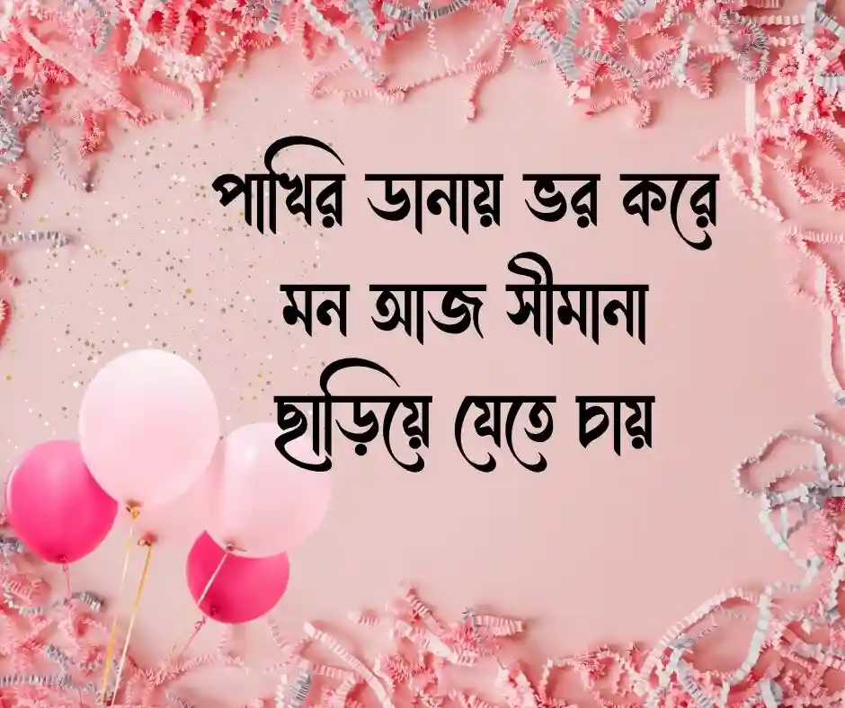 পাখি নিয়ে ক্যাপশন Caption on Birds