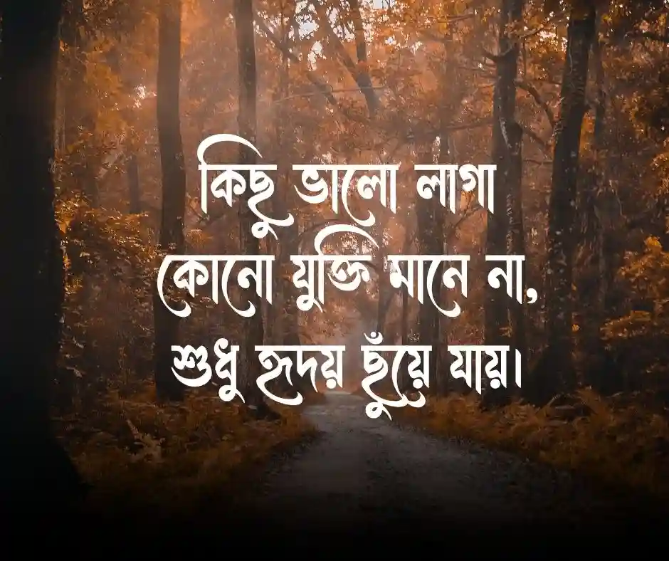 প্রথম দেখায় ভালো লাগা নিয়ে উক্তি