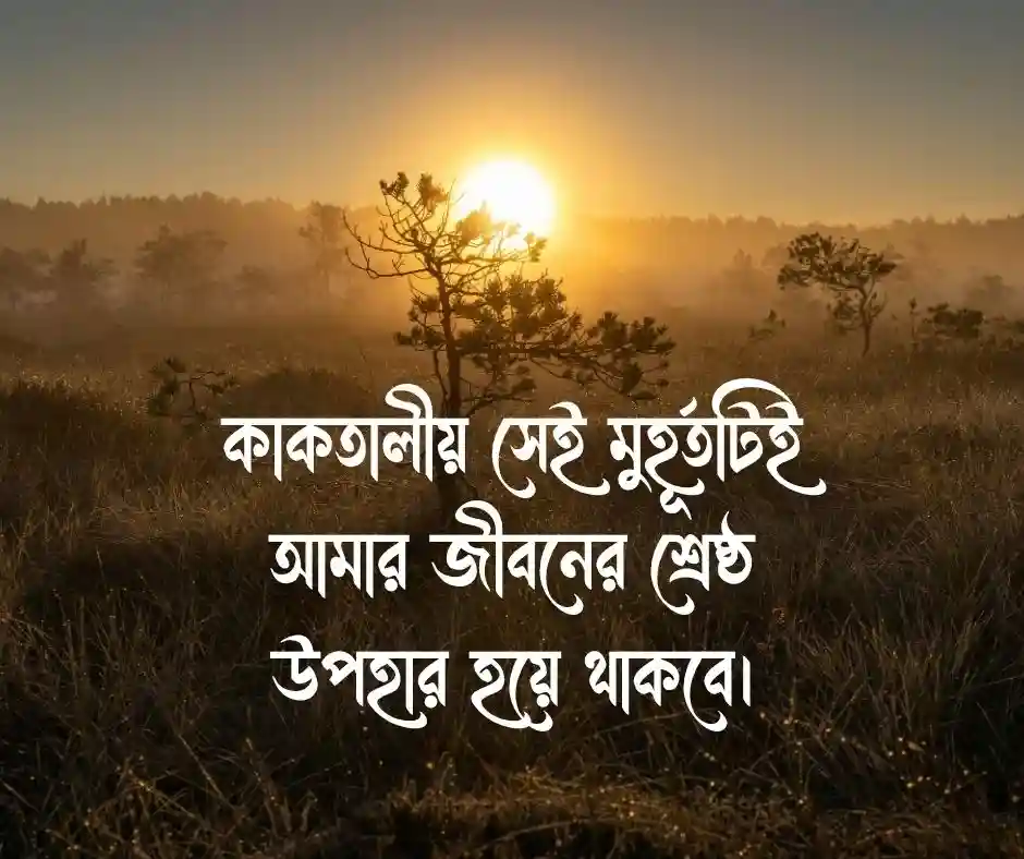 প্রথম দেখা নিয়ে কিছু কথা