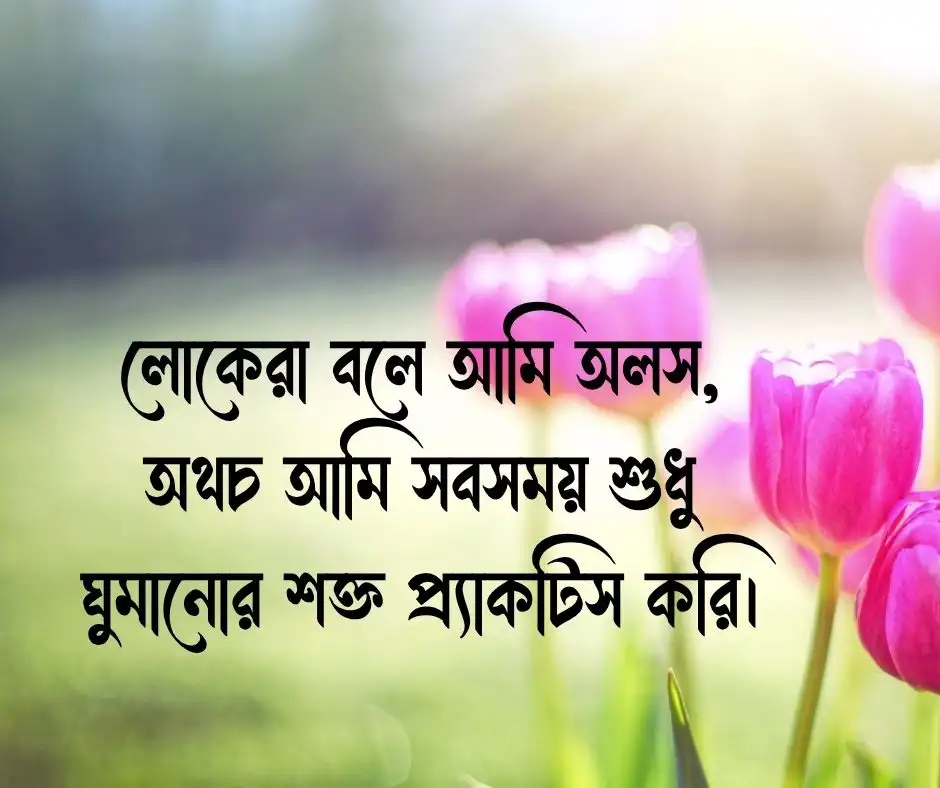 ফানি ক্যাপশন স্ট্যাটাস