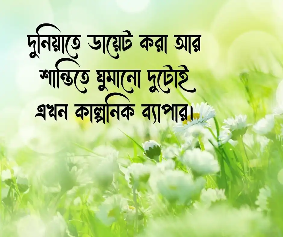 ফানি ক্যাপশন স্ট্যাটাস