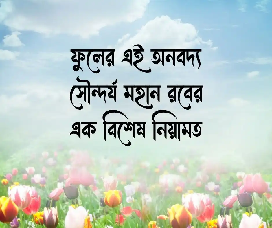ফুল নিয়ে ইসলামিক ক্যাপশন