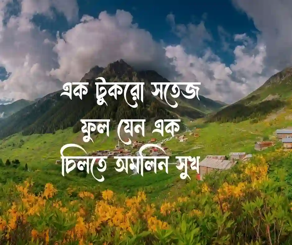 ফুল নিয়ে ক্যাপশন ফুল নিয়ে স্ট্যাটাস