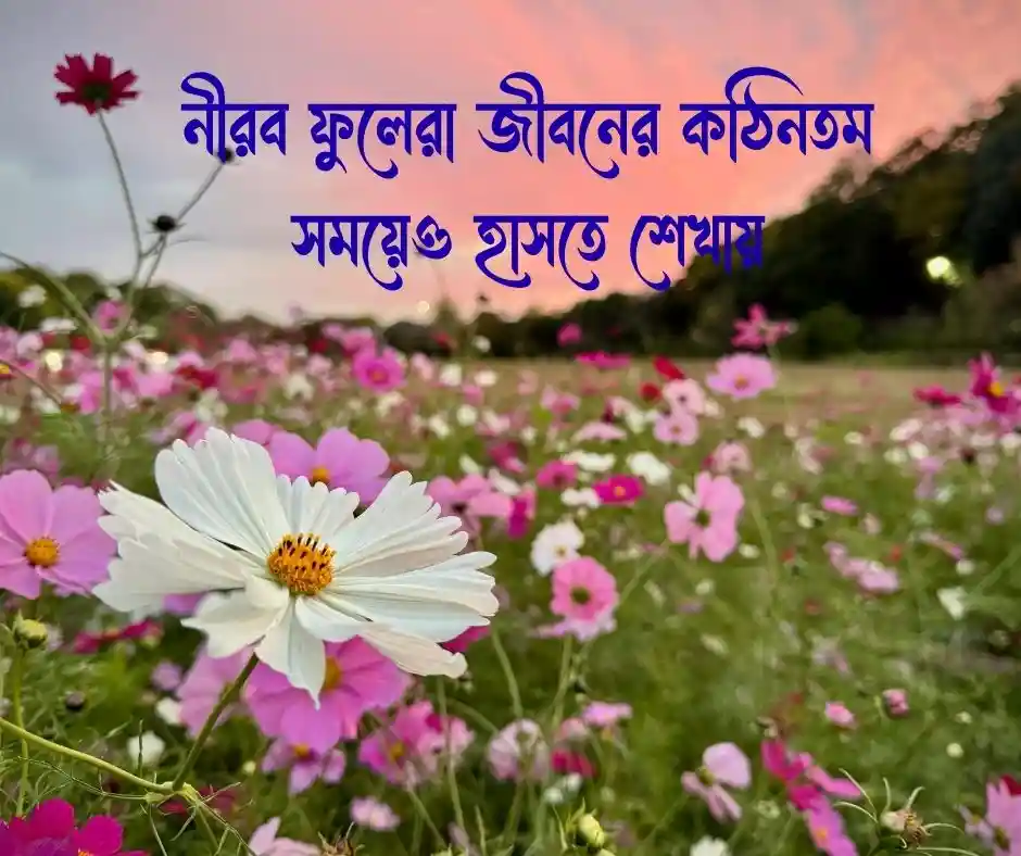 ফুল নিয়ে ছোট ক্যাপশন