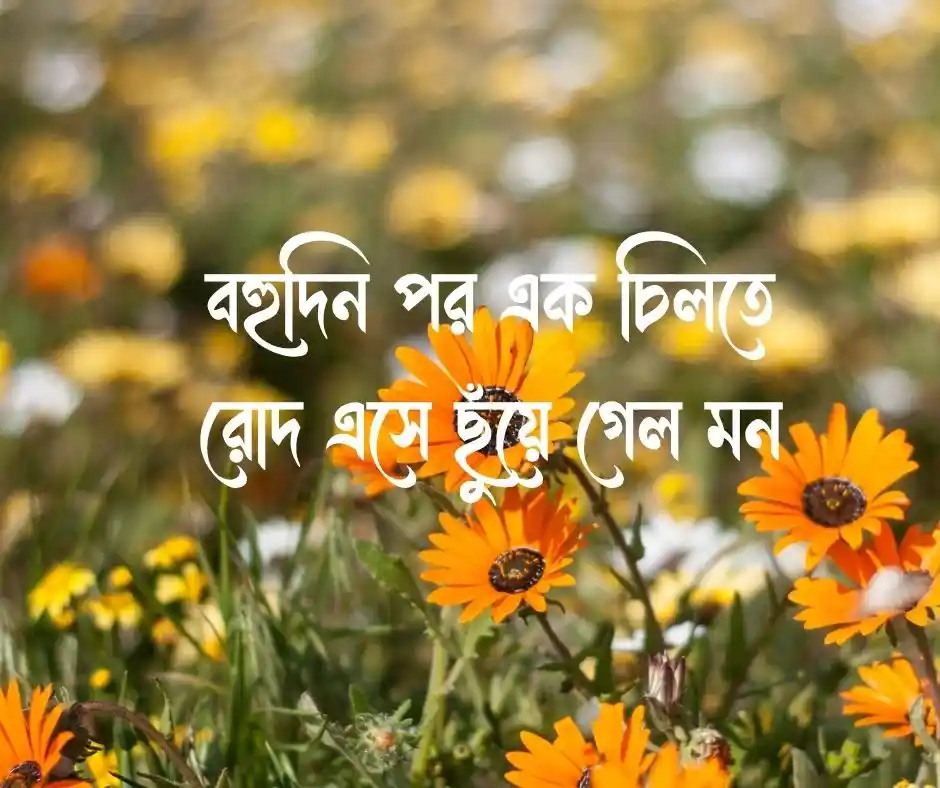 বসন্ত এসে গেছে ক্যাপশন
