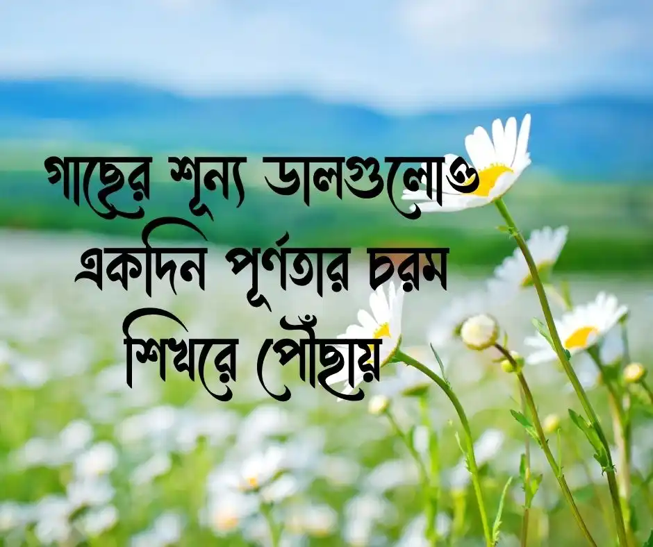 বসন্ত নিয়ে উক্তি Quotes on Spring Season