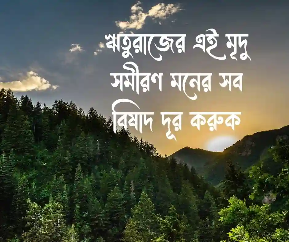 বসন্ত নিয়ে ক্যাপশন বসন্ত নিয়ে স্ট্যাটাস
