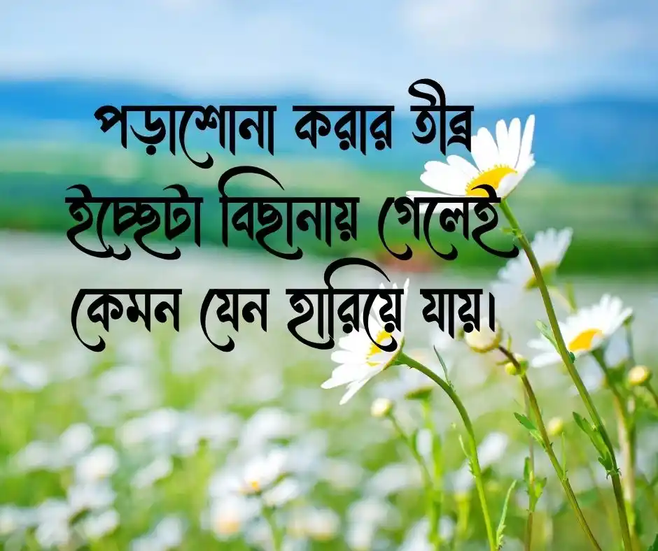 বাংলা ফানি স্ট্যাটাস Funny Status