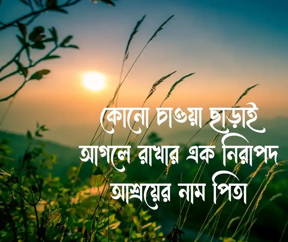 বাবা নিয়ে ক্যাপশন বাবা কে নিয়ে ক্যাপশন (1)