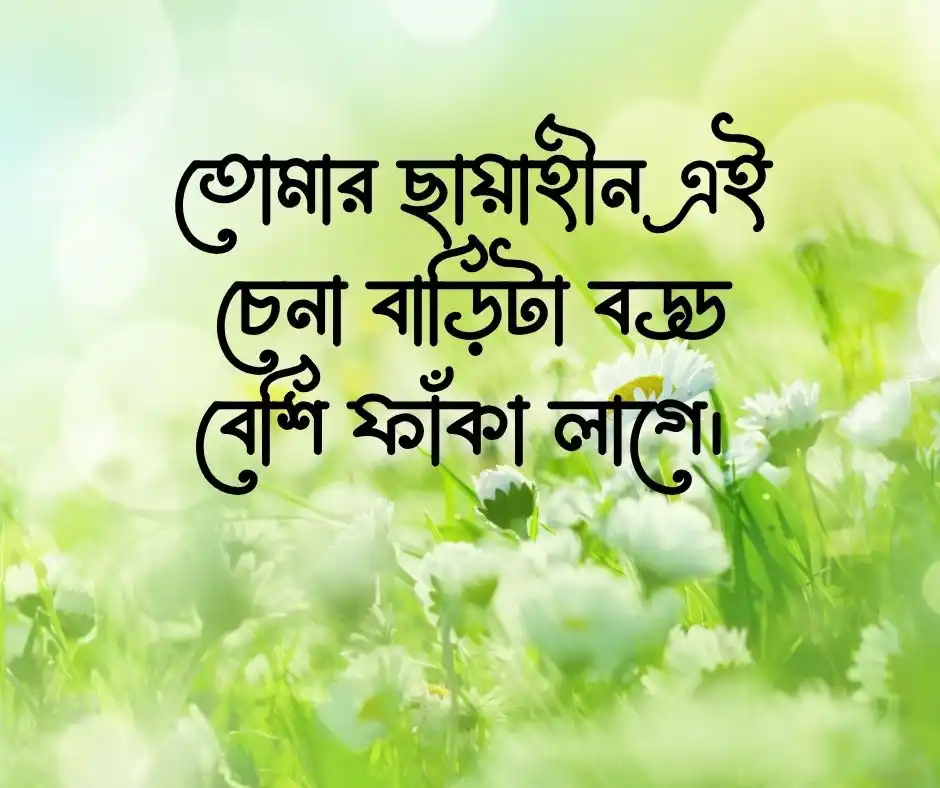 বাবা বিদেশ যাওয়ার স্ট্যাটাস