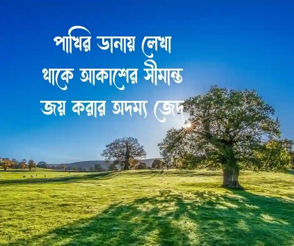 বিখ্যাত কিছু পাখি নিয়ে উক্তি