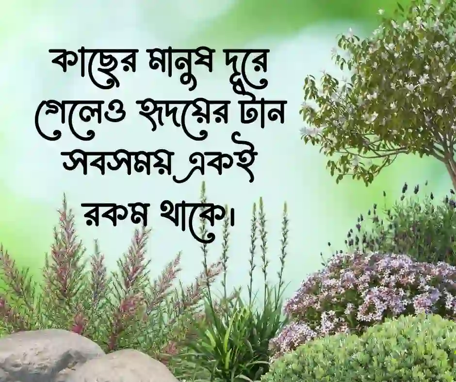 বিদেশ যাওয়ার বিদায় স্ট্যাটাস