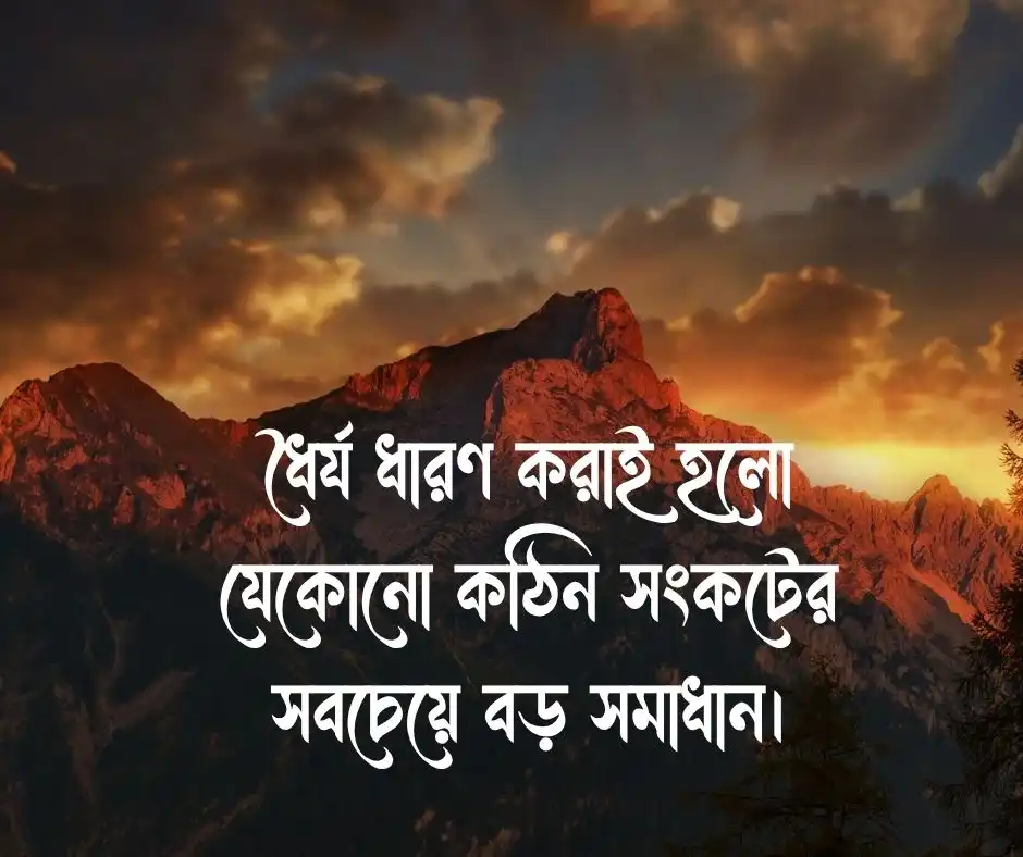 বুদ্ধিমানদের বাণী