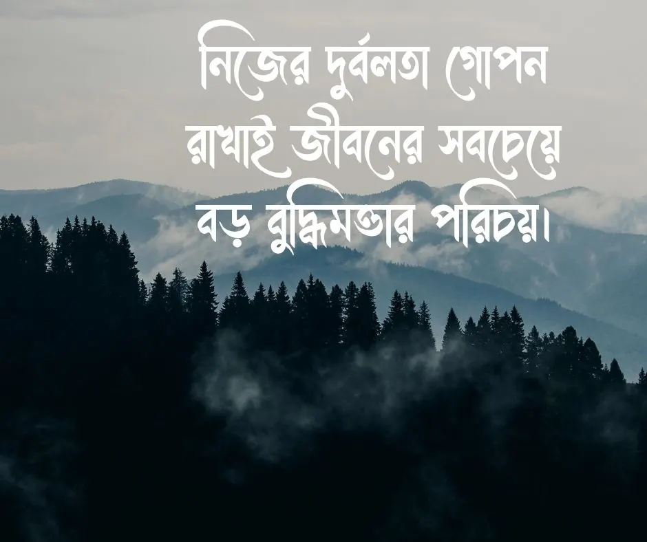 বুদ্ধিমানদের বাণী