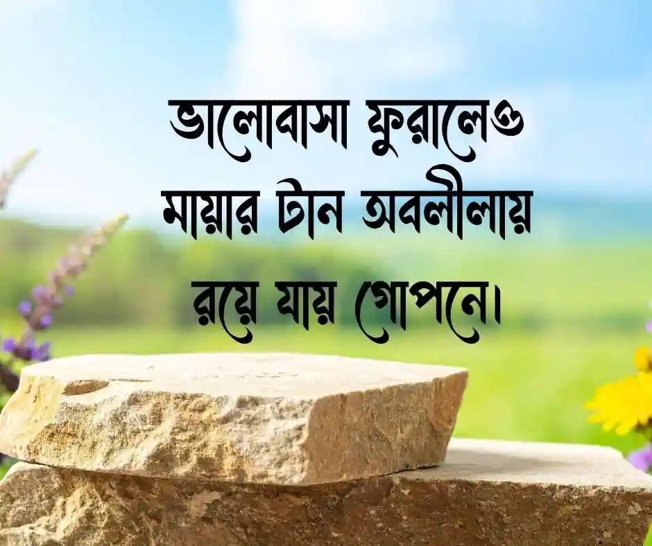 ভালোবাসার মায়া নিয়ে উক্তি