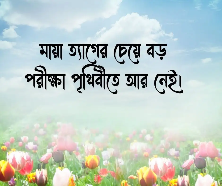 মায়া নিয়ে উক্তি