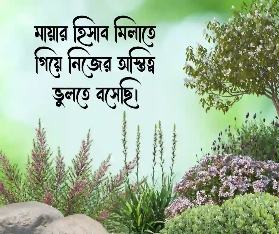 মায়া নিয়ে ক্যাপশন মায়া নিয়ে স্ট্যাটাস