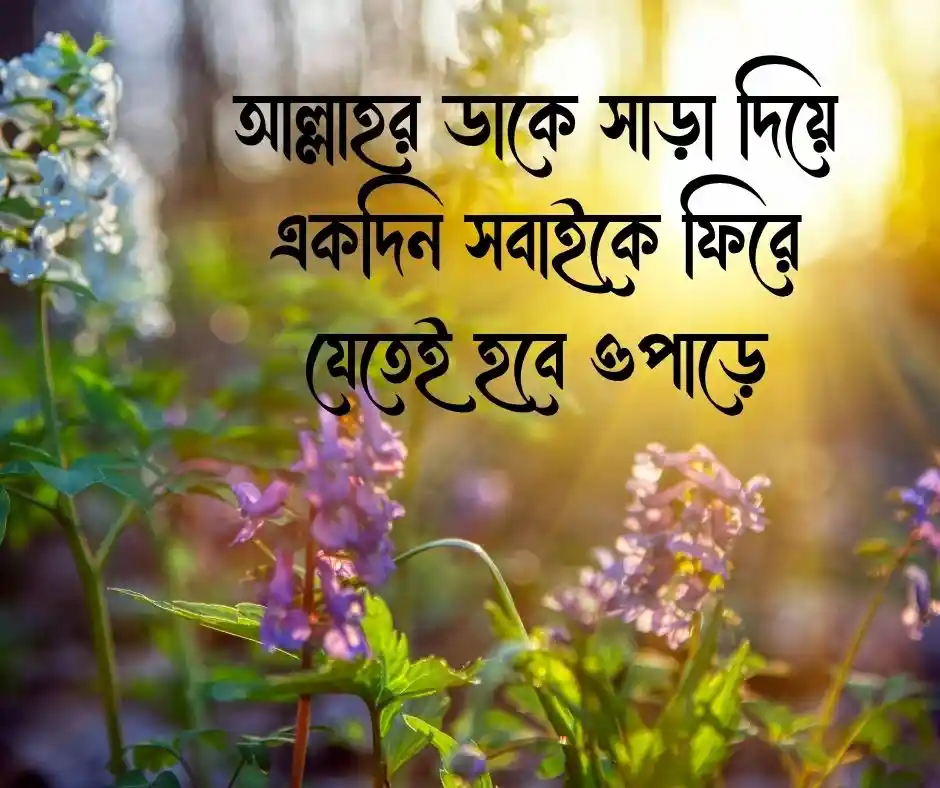 মৃত্যু নিয়ে ইসলামিক ক্যাপশন