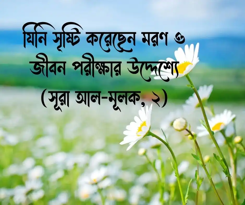 মৃত্যু নিয়ে কোরআনের আয়াত