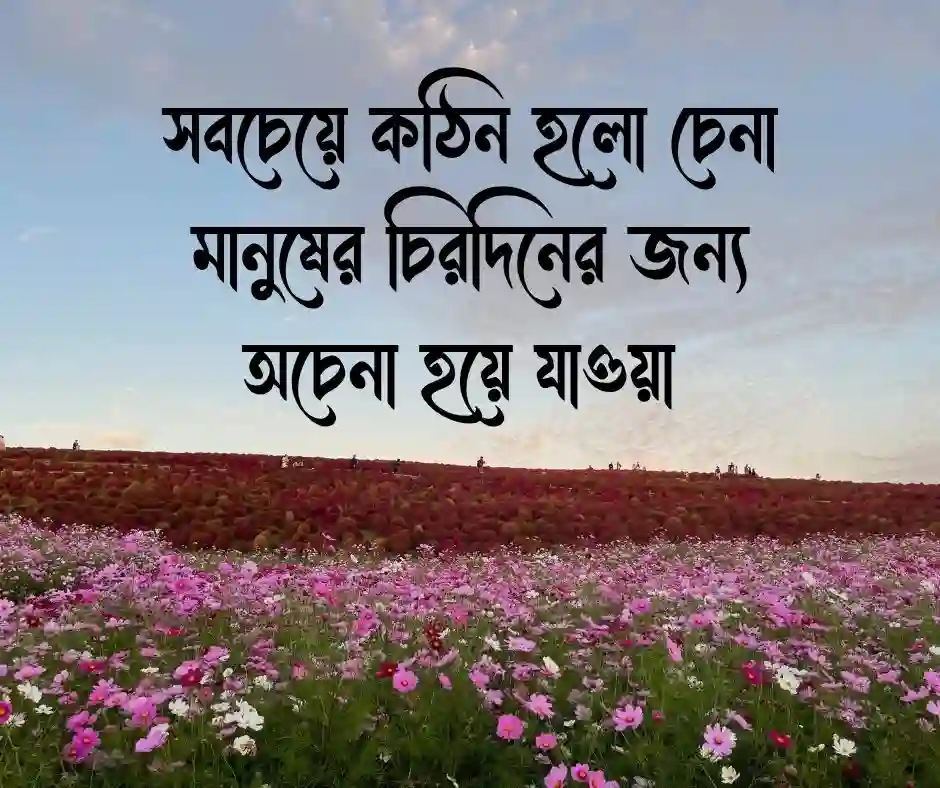 মৃত্যু নিয়ে ক্যাপশন Sad মৃত্যু নিয়ে স্ট্যাটাস