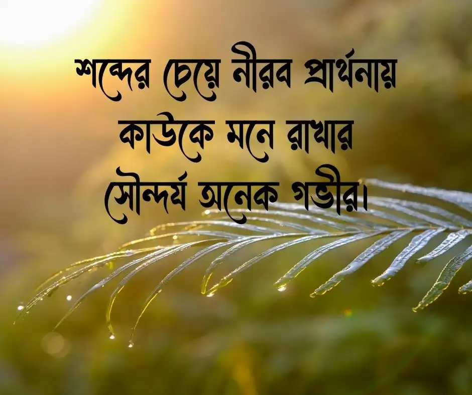যত্ন নিয়ে ক্যাপশন যত্ন নিয়ে স্ট্যাটাস