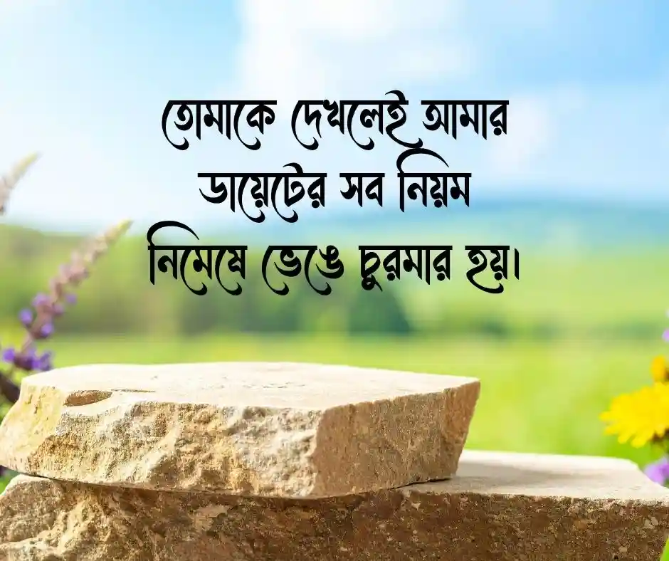 রোমান্টিক ফানি ক্যাপশন Romantic Funny Caption