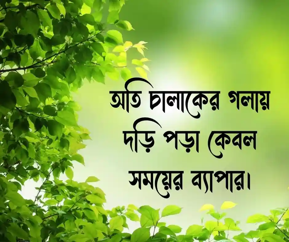 শিক্ষনীয় প্রবাদ বাক্য